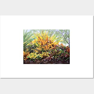 The Olive Branch Bromeliads Posters and Art